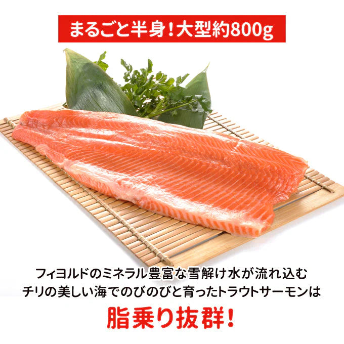 刺身用トロサーモン 半身約800g 送料無料