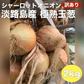 訳あり玉ねぎ2kg🧅シャーロットオニオン🧅淡路島極熟玉葱🧅送料無料 たまねぎ タマネギ