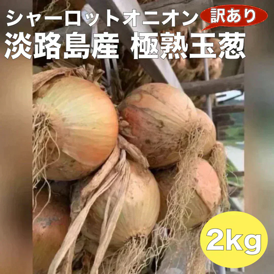 訳あり玉ねぎ2kg🧅シャーロットオニオン🧅淡路島極熟玉葱🧅送料無料 たまねぎ タマネギ