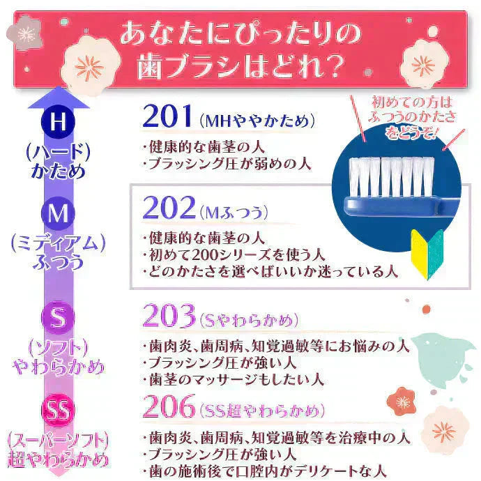 歯ブラシ Ci202(Mふつう) 4色アソート 20本セット【歯科医院専売品 ハブラシ】【メール便送料無料】