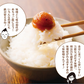 日本橋いなば園 八幡屋磯五郎七味唐辛子使用 おかず七味味噌 120g ネコポス メール便送料無料