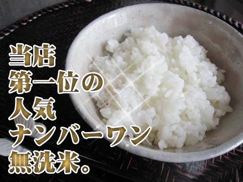 【令和7年産】無洗米 送料無料 九州産 4kg 当店ナンバーワン無洗米心＋阿蘇のコシヒカリ 4kg 送料無料 2キロ×2個