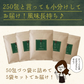 【5個セット】日本橋いなば園 こいうま深蒸し茶ティーバッグ ポット用 5g×50包 ヤマト宅急便発送 いなば園 水だし 水出し茶 ギフト おくりもの 贈り物 プレゼント 香典返し 内祝い ティー プチギフト 深蒸し煎茶 お茶 お礼 返礼品 茶匠庵 茶味一撰