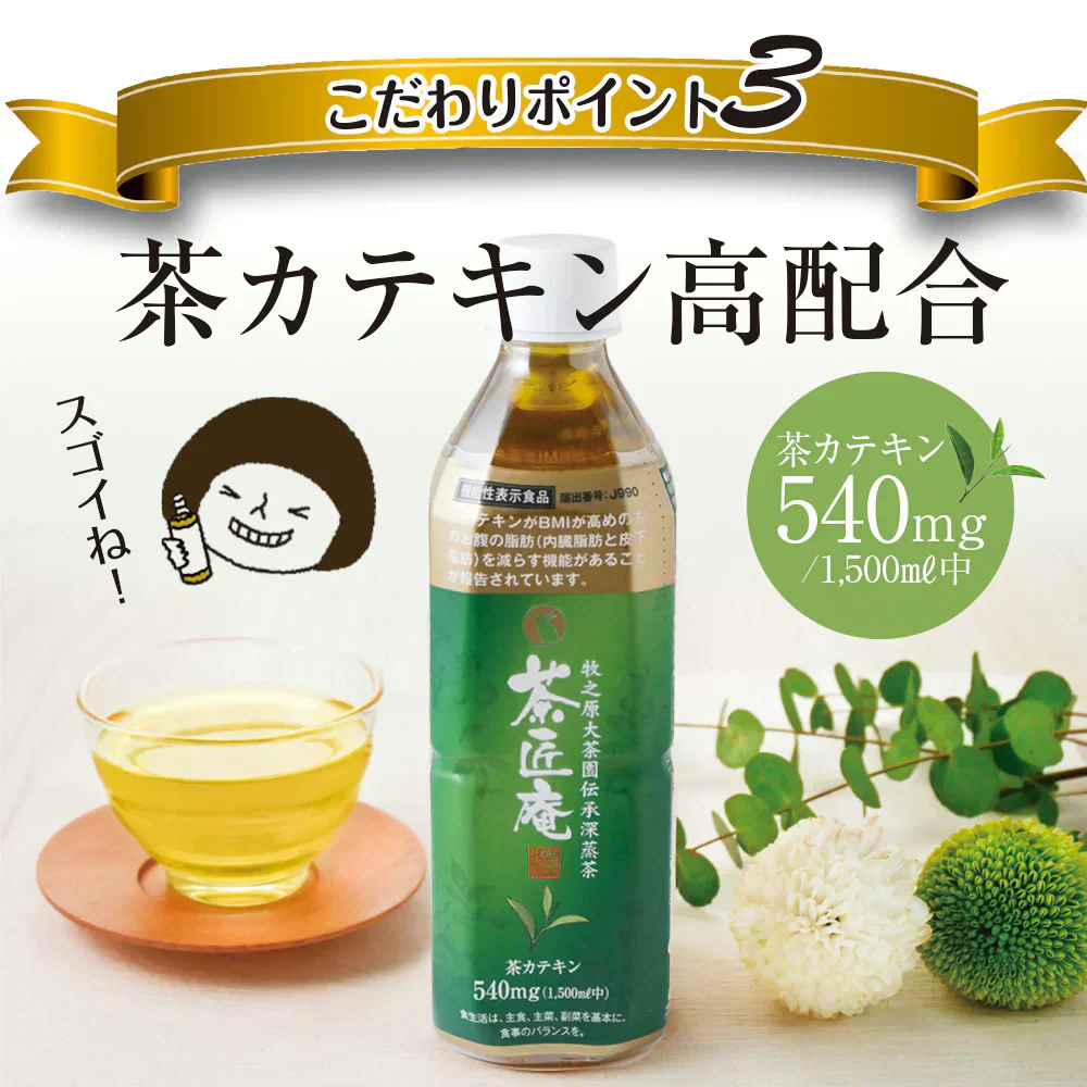 【機能性表示食品】茶匠庵 緑茶ペットボトル 500ml×24本