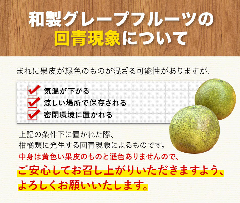河内晩柑 5kg 送料無料 和製 グレープフルーツ フルーツ 果物 みかん 訳あり 夏文旦 晩柑 ジューシーみかん 熊本県産 《1-5営業日以内に発送予定》