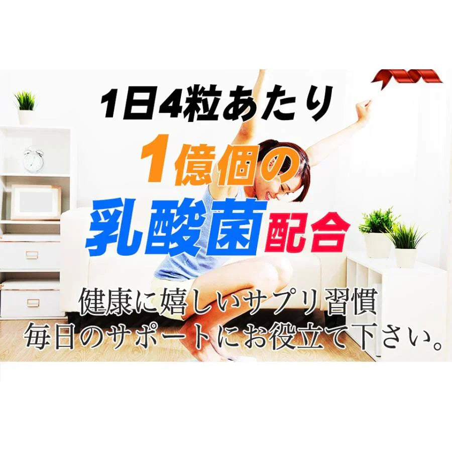 【激安お得12袋セット・9袋＋3袋オマケ】とりあえずコレ! 炭水化物 糖質 脂質 対策 カロリーカット サプリ ダイエットサプリメント 食事制限無し 白いんげん豆 桑の葉 烏龍茶 乳酸菌 キトサン 体脂肪 フラクトオリゴ糖 カロリーゼロ 糖質制限　糖質カット 日本製 食事制限無し おすすめ 人気 ランキング 効果 強力 最強 カロリーゼロ対策 カロリーコントロール　コントロールサプリ カロリーメイト 国産 日本製 白インゲン ランキング おすすめ 健康食品 通販