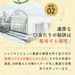 【予約】【2026年1月から順次発送】1kg  トマランタン 笑顔溢れる甘さ♪超濃厚ミニトマト！【東北配送不可】
