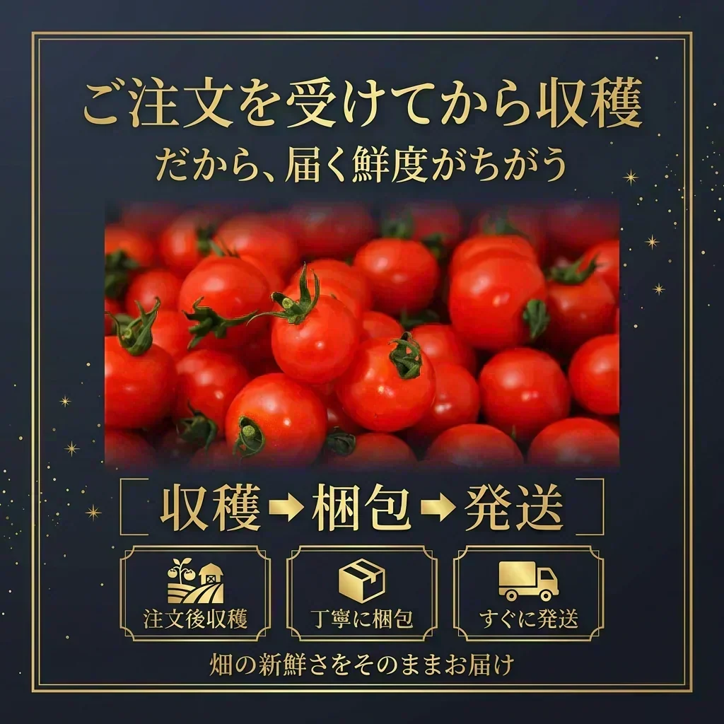 予約【2026年12月前後～2027年2月28日までに順次発送】＼特別栽培農産物／ ソムリエミニトマト　ダイヤ　３００ｇ（補償100g込み）※補償分以上の不良は交換対応可能【カウシェファーム収穫対象商品】