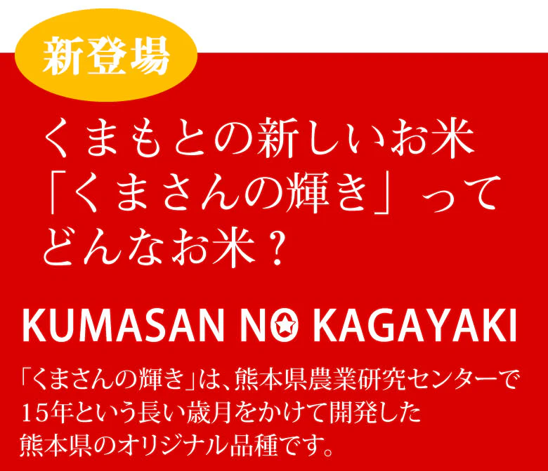 くまさんの輝き 米 送料無料 2kg 令和5年産 熊本県産 お米 白米 玄米 コシヒカリ ヒノヒカリ 森のくまさん