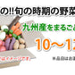 野菜セット 九州産 10～12品目 送料無料 お取り寄せ 80サイズ箱 詰め合わせ 【5～10営業日以内出荷(土日祝日除く)】やさい 産地直送 野菜 季節 旬 トマト きゅうり キャベツ かぼちゃ 小松菜 ほうれん草 人参 じゃがいも 玉ねぎ ごぼう ピーマン
