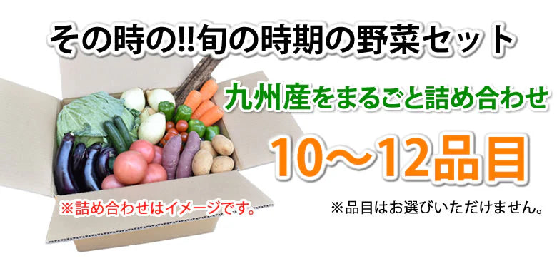 野菜セット 九州産 10～12品目 送料無料 お取り寄せ 80サイズ箱 詰め合わせ 【5～10営業日以内出荷(土日祝日除く)】やさい 産地直送 野菜 季節 旬 トマト きゅうり キャベツ かぼちゃ 小松菜 ほうれん草 人参 じゃがいも 玉ねぎ ごぼう ピーマン