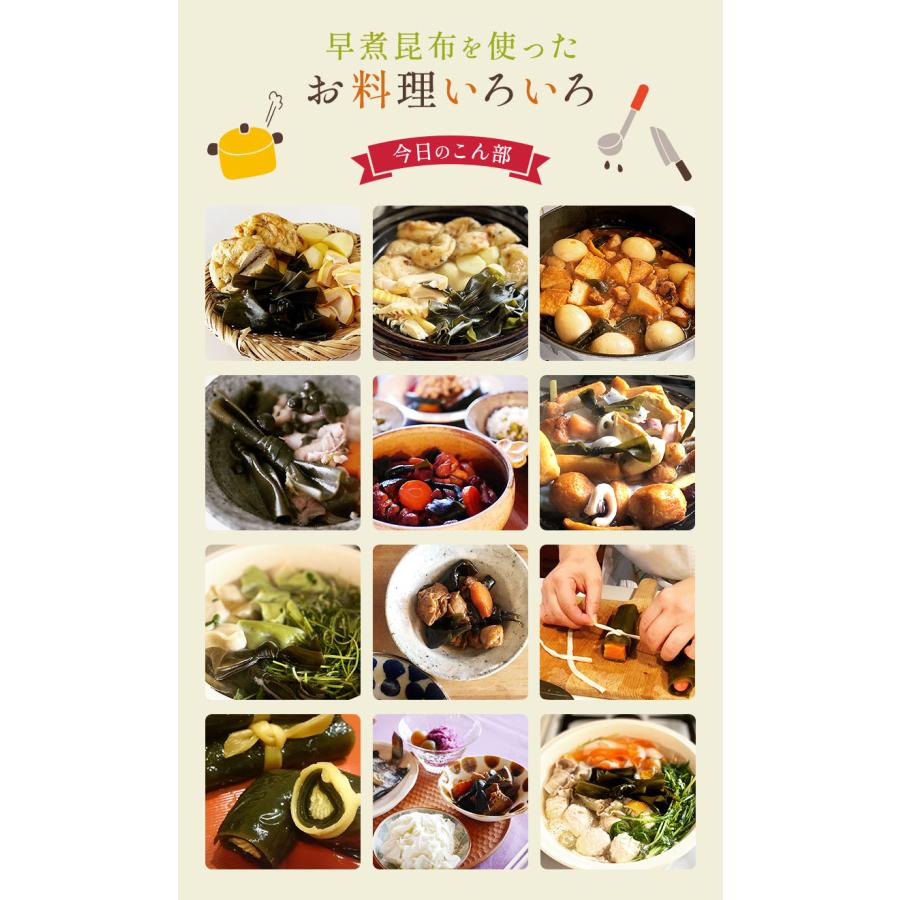 昆布 早煮昆布 200g 貝殻島棹前昆布 おでんの具 結び昆布 煮昆布 昆布巻き用昆布 26センチカット 国産100％