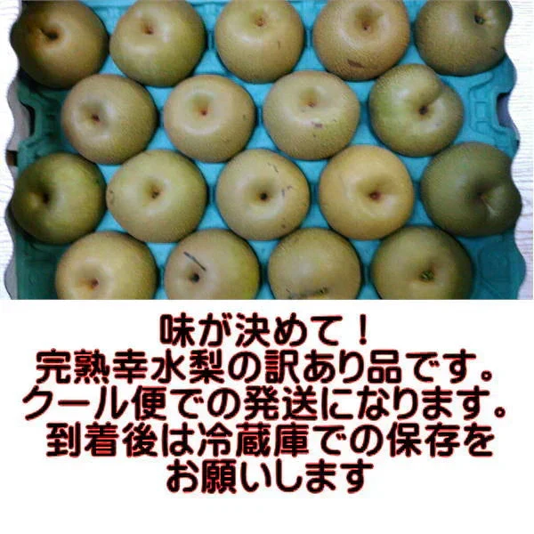 完熟 幸水 梨 訳あり 熊本産 箱込5kg (約8～24玉)【クール便発送】【7月下旬より発送】