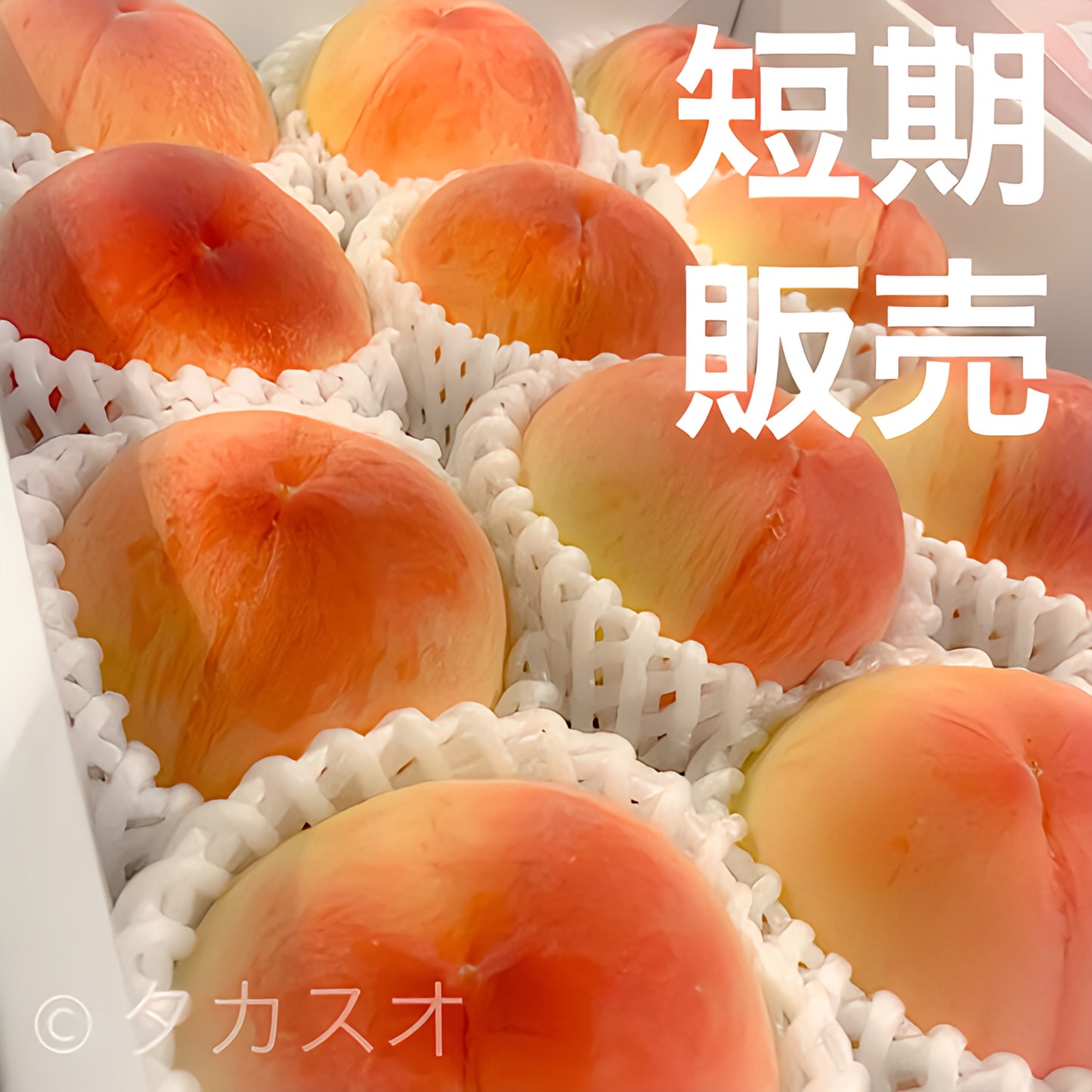 【数量限定】 日川白鳳 紀の川筋名産品 ４kg １５玉入り 送料無料 産地直販だから出来る品質 ６月下旬より順次発送 産地でも売り切れ必至 ６月下旬より順次発送