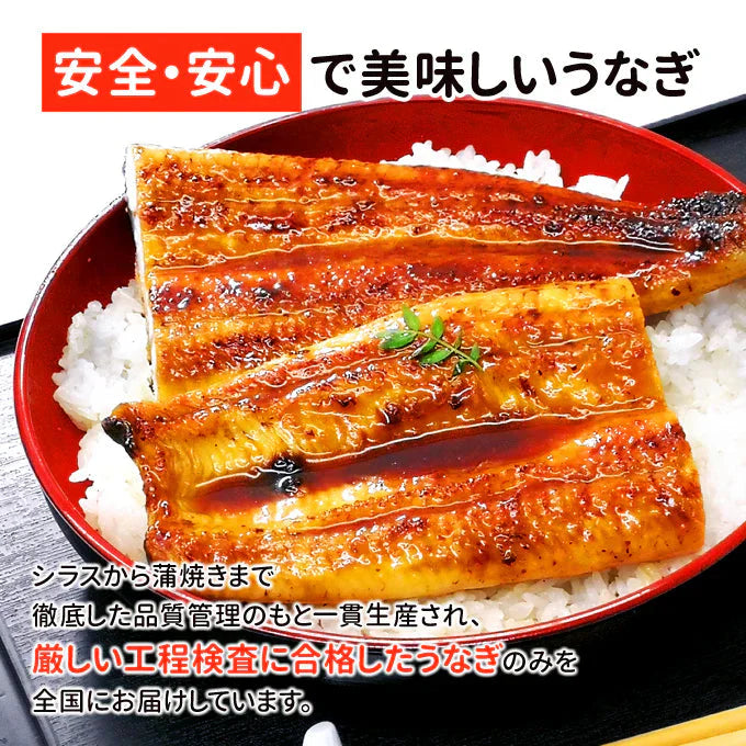 鹿児島産 新 国産 うなぎ蒲焼き 約170g×4尾 送料無料