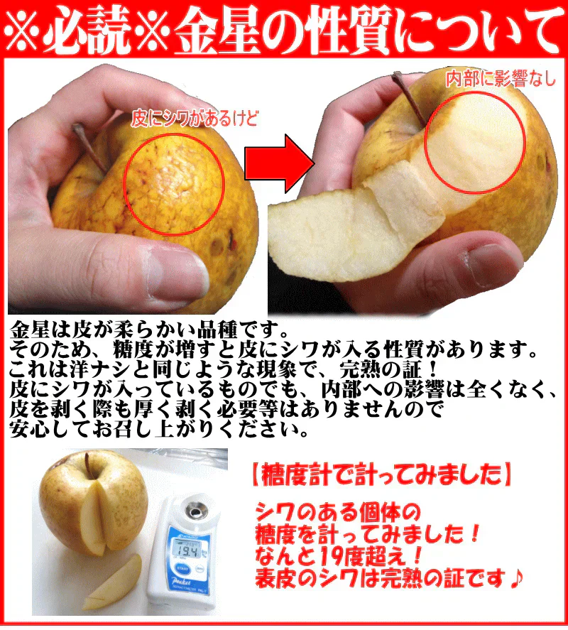 青森県産 りんご 金星 5kg箱【加工用】　★金星 加 5kg 箱