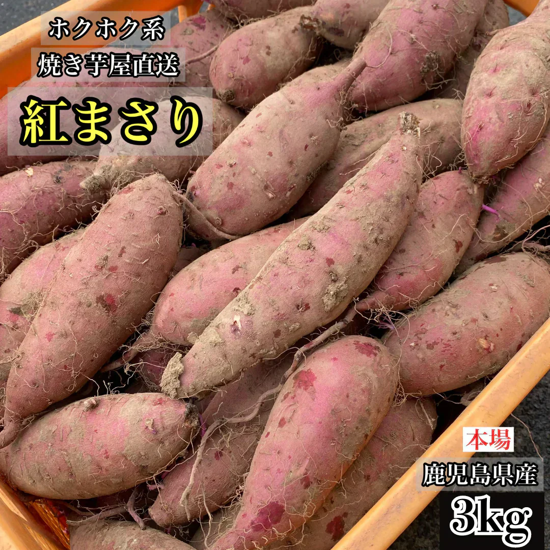 【今期新物】紅まさり3kg