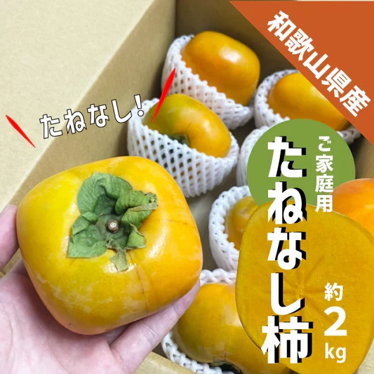 柿 和歌山県産 たねなし 約２kg (８〜１２玉) ご家庭用 刀根 平たねなし 種無し 平核無柿 刀根 早生柿 送料無料 柿 カキ