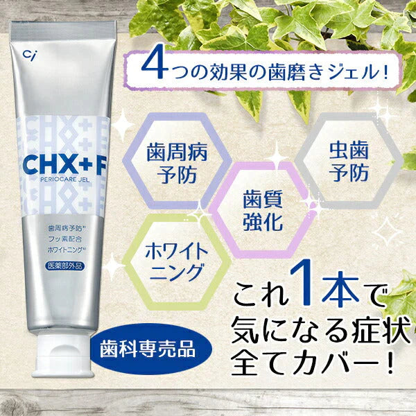 CHジェルガード【フッ素コート歯磨きジェル】1本 90g (フッ素濃度：1450ppm)