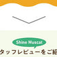 ★水出しOK★【約60杯分】アレンジルイボスティー　シャインマスカット　カップ用３０個入　２袋セット（グリーンルイボスティー ティーバッグ ノンカフェイン ハーブティー）