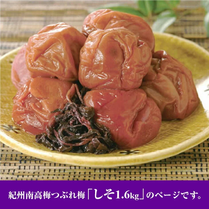 紀州南高梅つぶれ梅 しそ 塩分3％ 1.6kg(800g×2パック)
