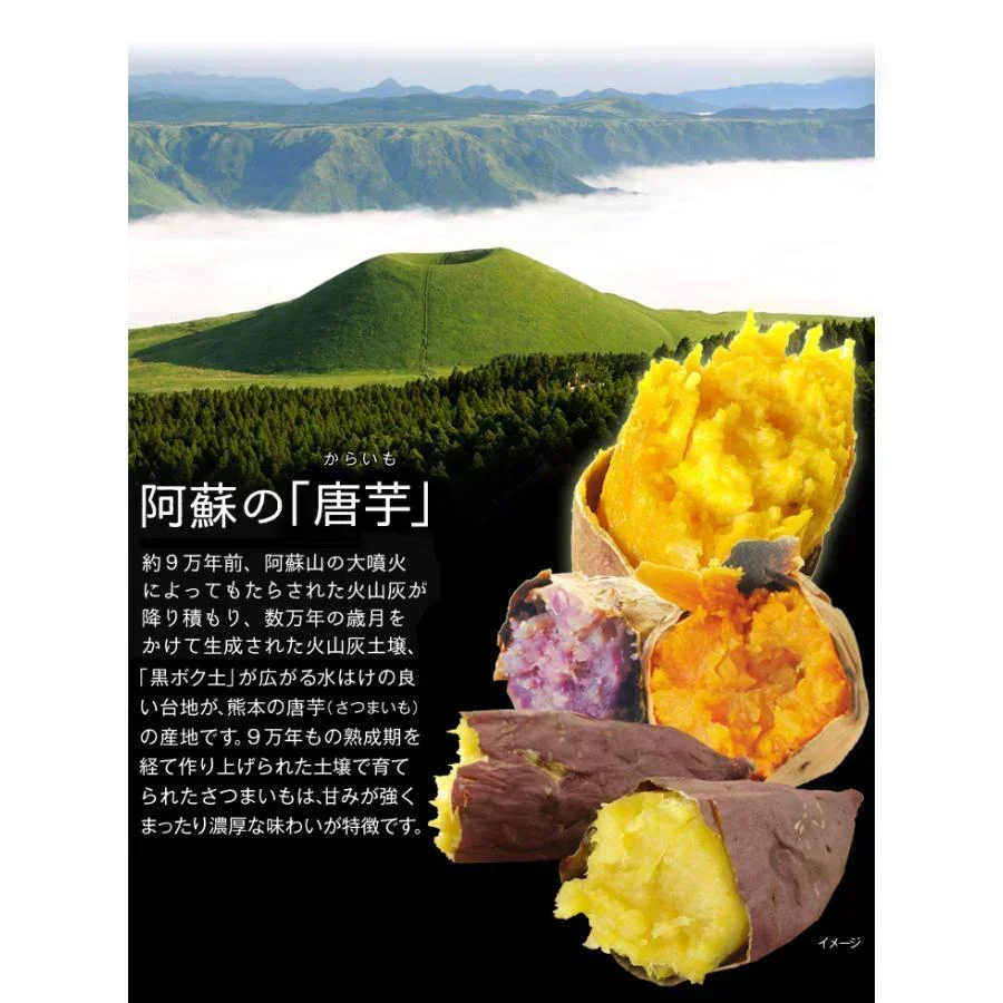 さつまいも 5kg シルクスイート 熊本産 蜜芋【2026年12月上旬より発送予定】