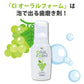 泡のオーラルケア3点セット【歯科専売品：ゼクリンブラック1本・CiオーラルフォームF(80mL)・デザイン歯ブラシゼブラシ(1パック2本)3点セット】【メール便送料無料】