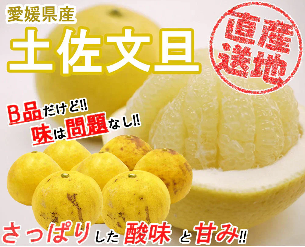 土佐文旦 訳あり 4kg 送料無料 ご家庭用 箱買い サイズミックス みかん 柑橘 フルーツ 果物 産地直送 愛媛県産 YDF-008