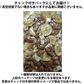 【期間限定販売】おためしミックスナッツシリーズ モーニングミックス150g（ナッツの比率ランダム）【カウシェファーム収穫対象商品】