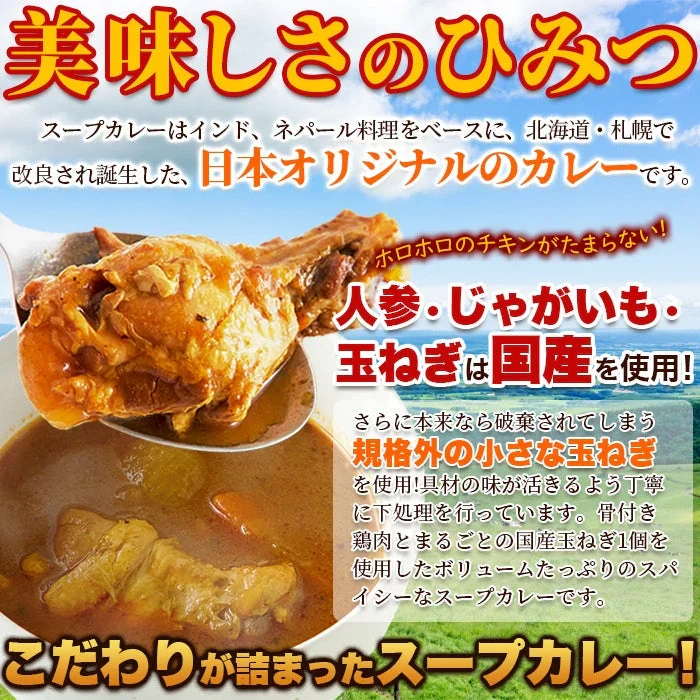 ゴロッと 玉ねぎ と骨付き チキン の スープカレー【1人前 260g×２袋】富良野市場/ネコポス