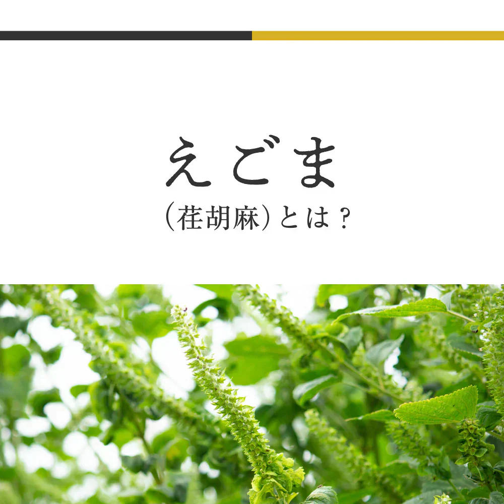 国産 えごま油 低温圧搾 一番搾り 110g 賞味期限：2025年5月6日 カウシェ限定 ｜ オーガライフ