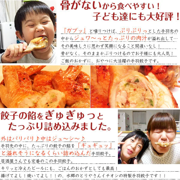 【超シェア買い祭】8秒に1本売れてる！手羽先餃子20本セット
