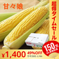【完売御礼】【6月発送】送料無料 とうもろこし 甘々娘 2キロ 朝採り 生で食べられるとうもろこし 甘々娘 かんかんむすめ フルーツコーン スイートコーン【超シェア買い祭】