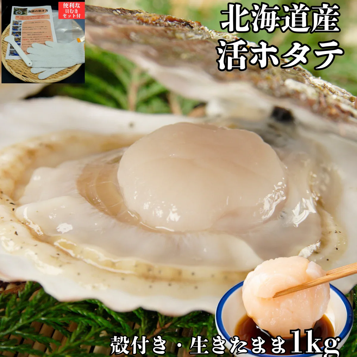 【殻付き・生きたままお届け】北海道産 活ホタテ1Kg
