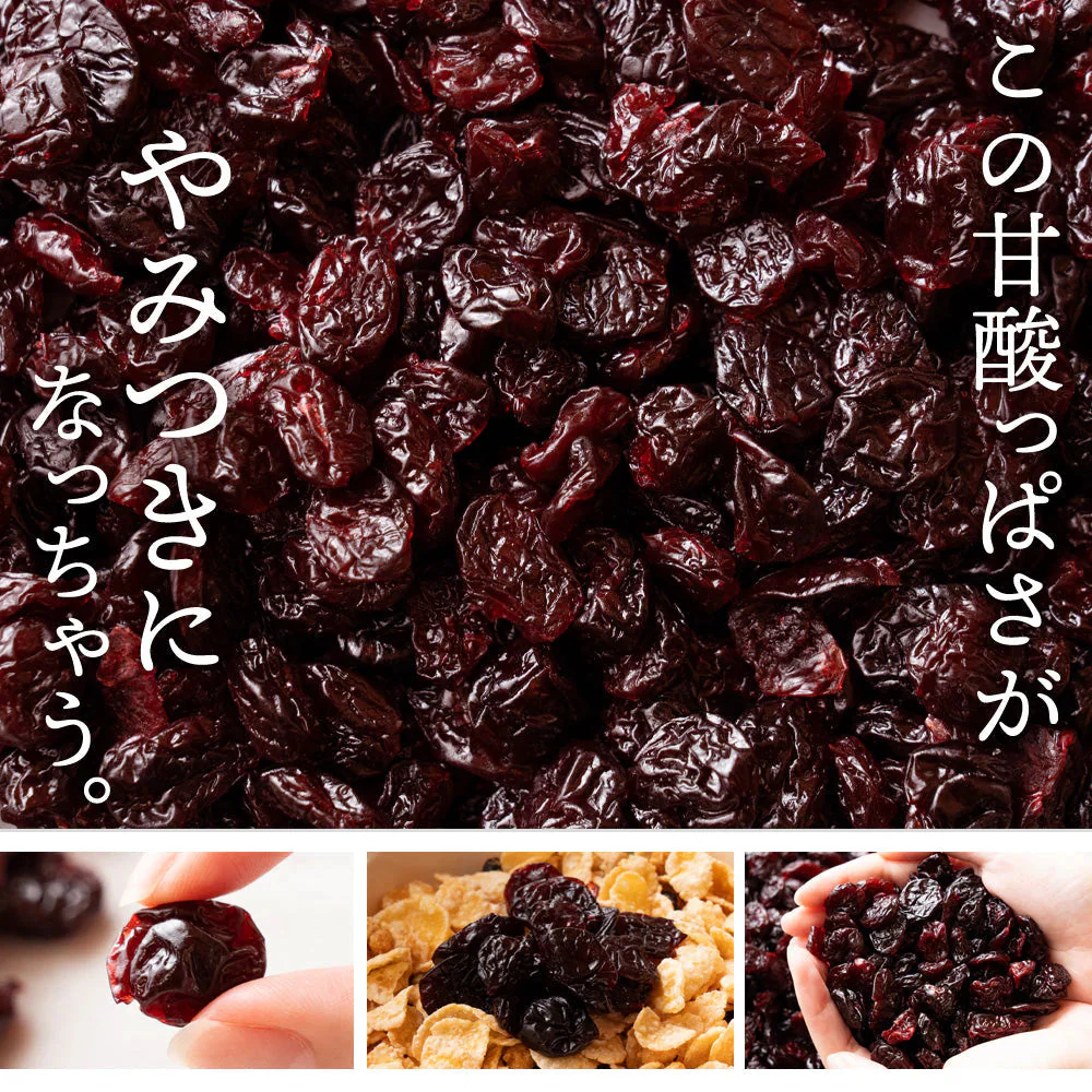 完売 ドライフルーツ ドライサワーチェリー500g ドライチェリー さくらんぼ [ 送料無料 トルコ産 大容量 お徳用 業務用 お取り寄せ ドライフルーツ 製菓 おやつ お菓子作り チェリー フルーツ 製菓材料 ]
