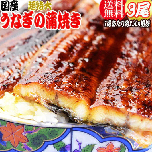 うなぎ 蒲焼き 国内産 送料無料 ギフト 土用の丑の日 父の日 1尾約250g前後×3尾セット 国産 うなぎ 超特大 鰻土用　丑の日《正規品》お中元 贈り物 母の日