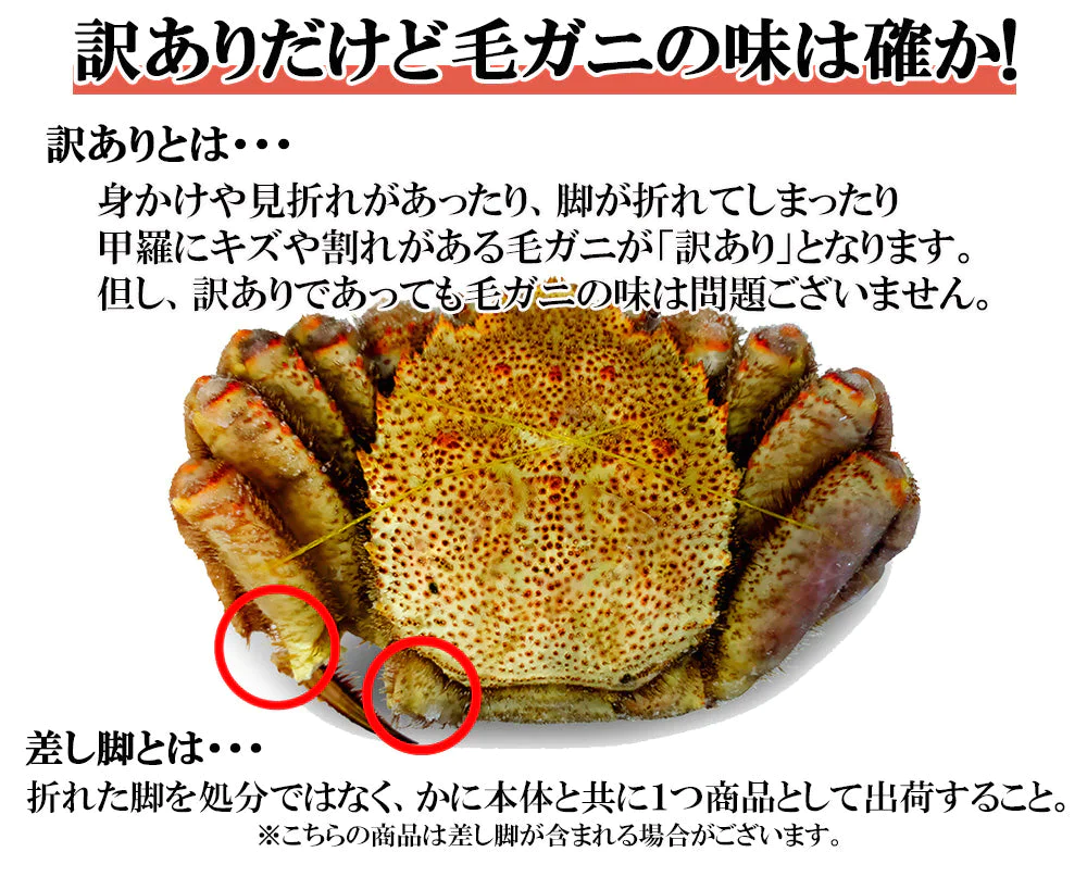 毛ガニ 毛蟹 訳あり 650g 1尾 かに姿 カニ味噌 かにしゃぶ 蟹 カニ かに 北海道産 shr-018