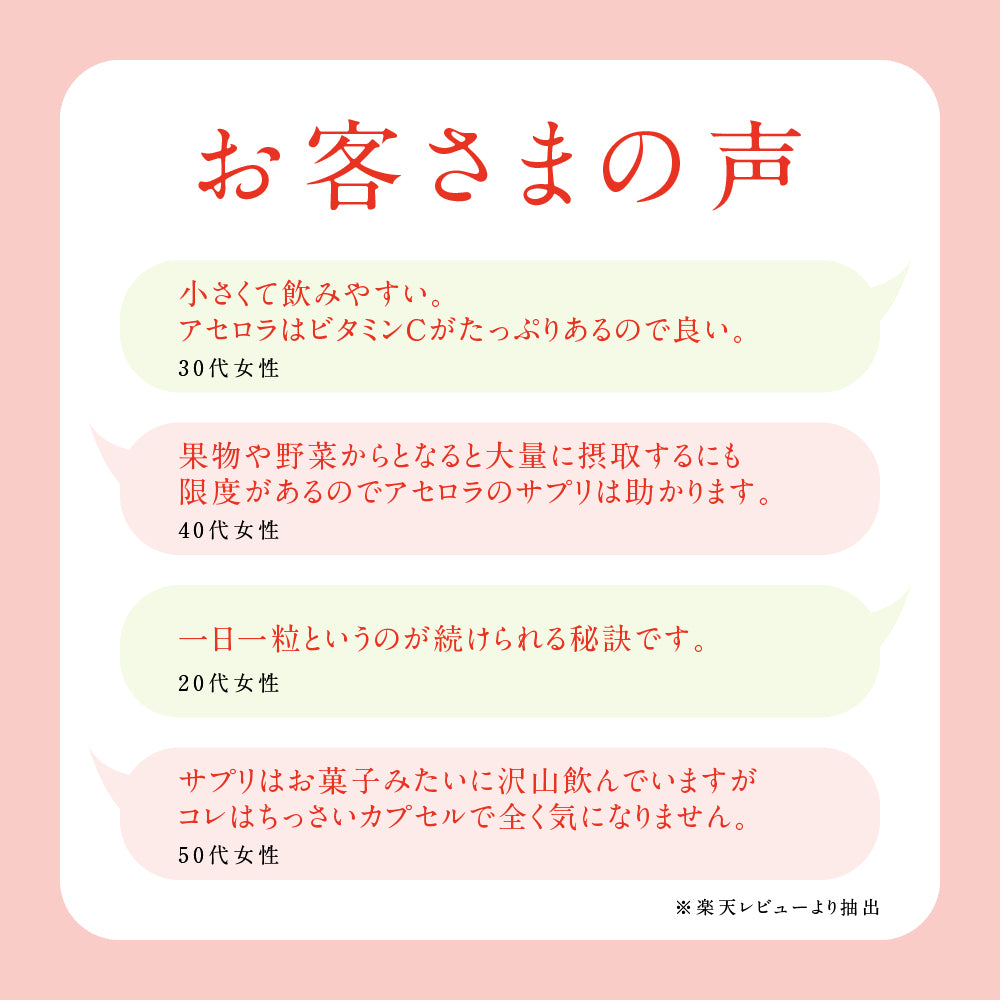 アセロラたっぷりビタミンC《約1ヶ月分》サプリ/アセロラサプリ/ビタミンCサプリ