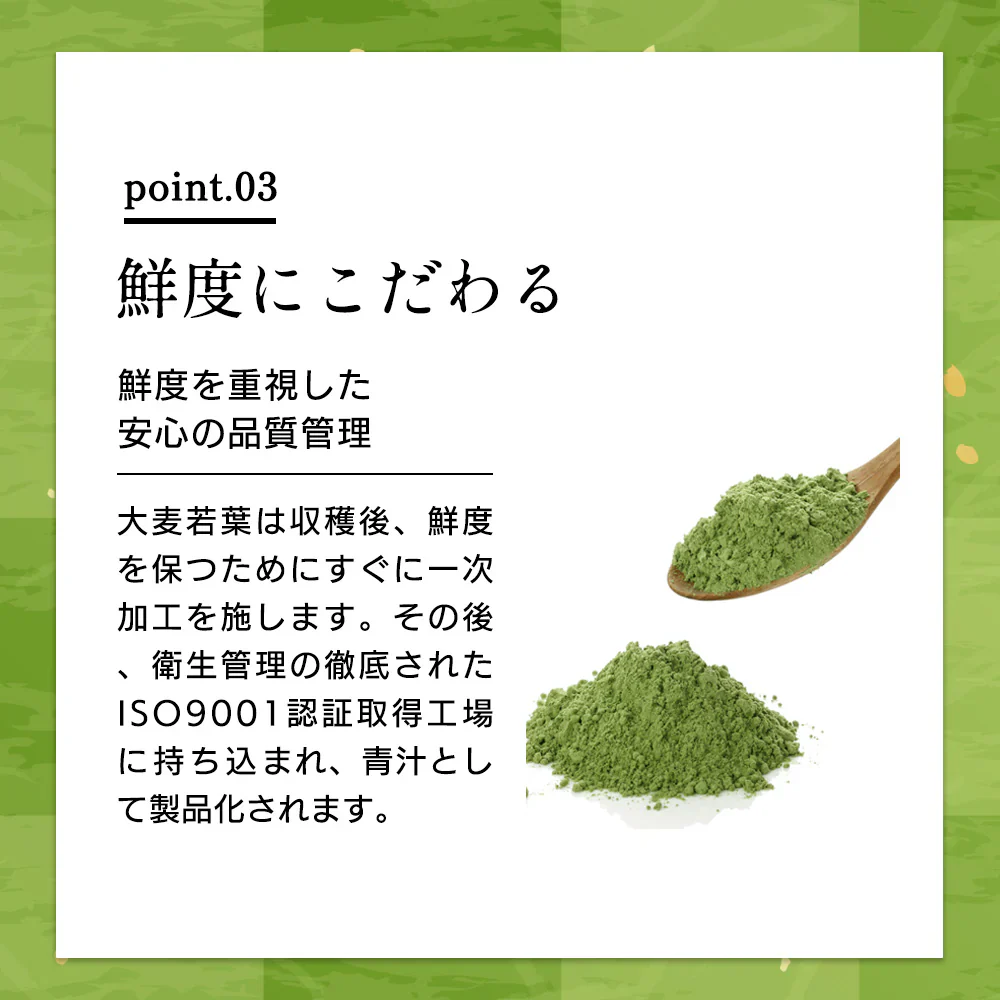 乳酸菌 国産青汁 63g (3g×21包) 3週間分　[ 青汁 飲みやすい 酵素 健康 ダイエット 国産 乳酸菌 100億個 食物繊維 おためし] K【ご新規さん限定商品】