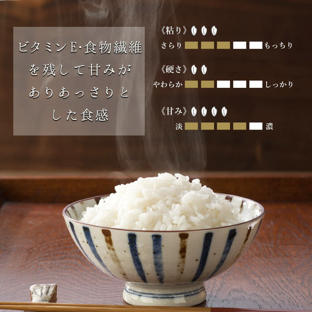 無洗米 米 宮城県産 つや姫 胚芽一番 1kg 令和5年産 新米 お米 おくさま印 国産 食品 お試し 1000円 ポッキリ メール便 送料無料