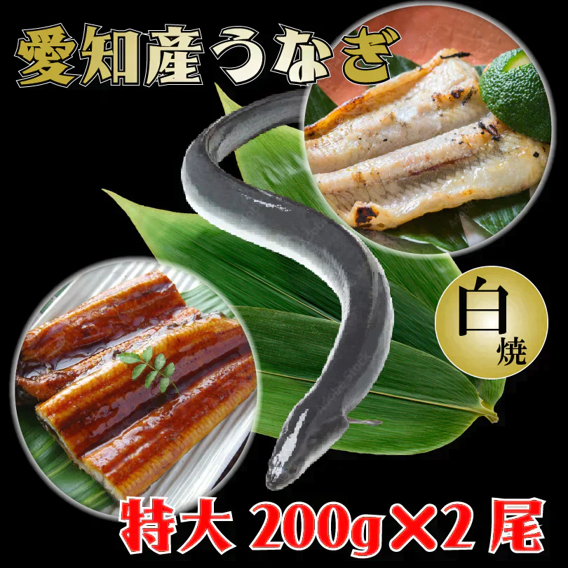 【送料無料】愛知産★活うなぎの白焼き　特大　200g×2尾　鰻　ウナギ　白焼き