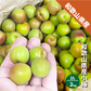 和歌山県産 小梅 2Lサイズ以上 約2kg 梅干し 紀州 白王 紀州 こうめ