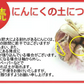 【新物】令和8年産 青森県産にんにく 5kg 訳あり C品 Mサイズ以上大玉混合 福地ホワイト六片種