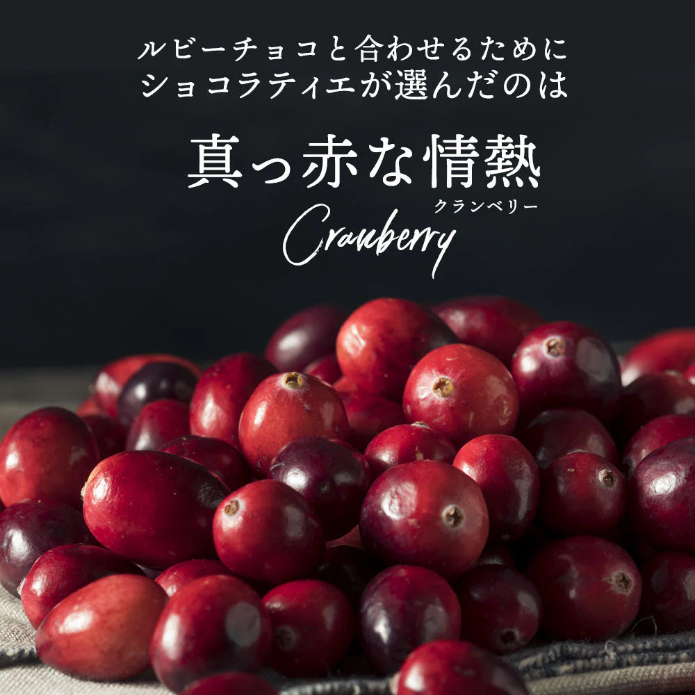 【チョコ常温販売期間終了】  チョコレート チョコ 　ルビーチョコ掛けクランベリー Rubi de Cranbery 200g ルビーチョコ 第4のチョコレート スイーツ ドライフルーツ クランベリー 大量 業務用