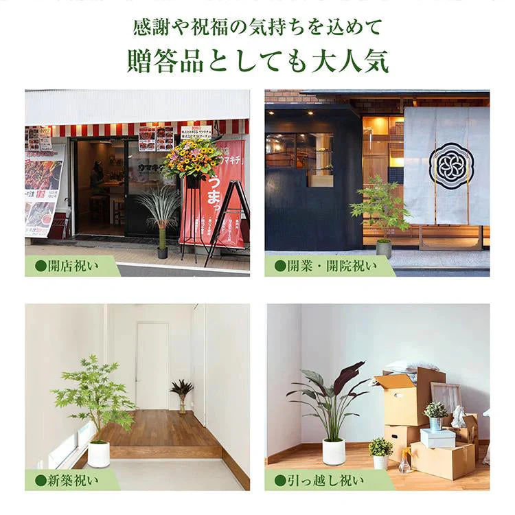 フェイクグリーン 「カラテア・セトサ」 観葉植物 大型 人工観葉植物 リアル フェイク グリーン インテリア 飾り用 撮影用 部屋飾り 造花 お祝い プレゼント おしゃれ
