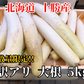 【数量限定 訳アリ大根】北海道 ニセコ産 大根 5kg(約4本)  訳アリ品 規格外 常温発送