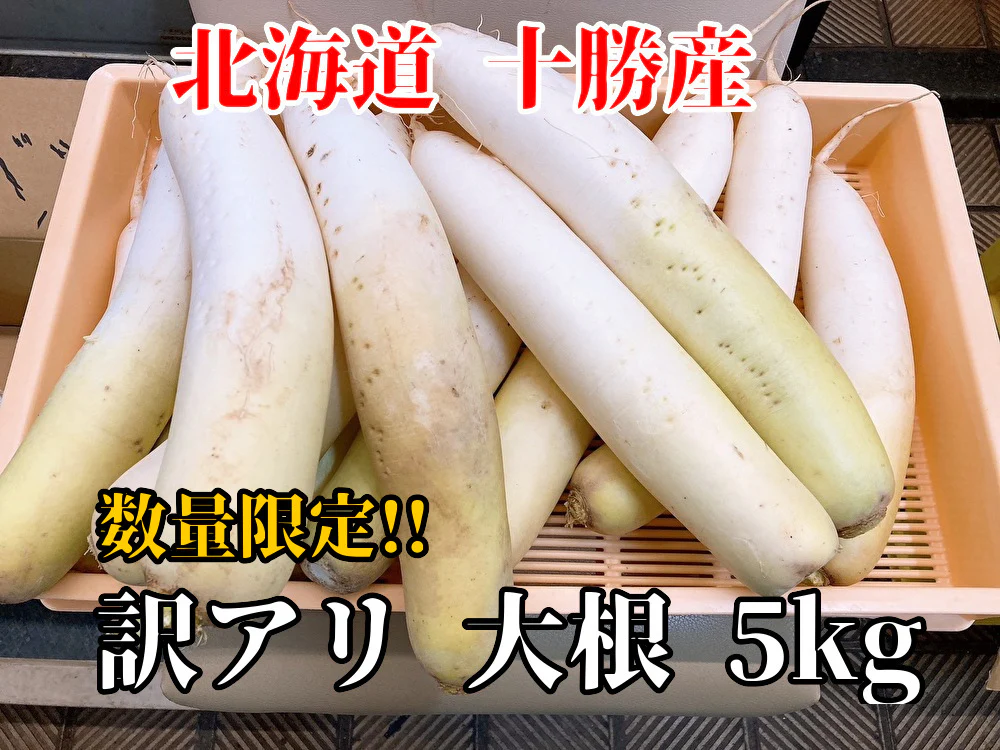 【数量限定 訳アリ大根】北海道 ニセコ産 大根 5kg(約4本)  訳アリ品 規格外 常温発送
