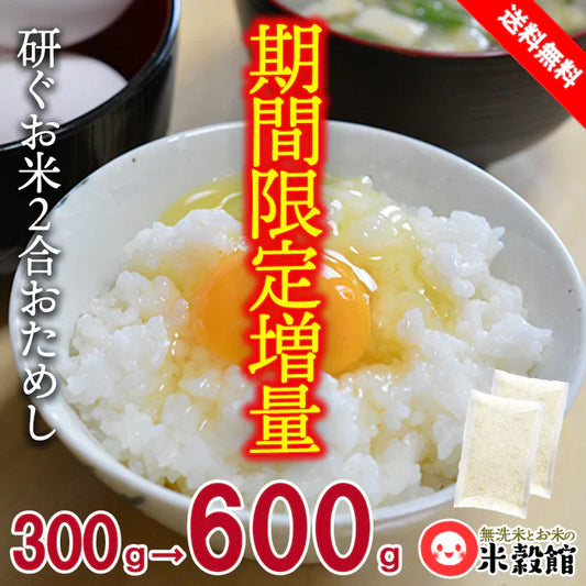 600g 研ぐお米 国内産単一原料米 300g×2個セット 小分け 2合パック×2 令和6年産 ゆうパケット発送 送料無料0613