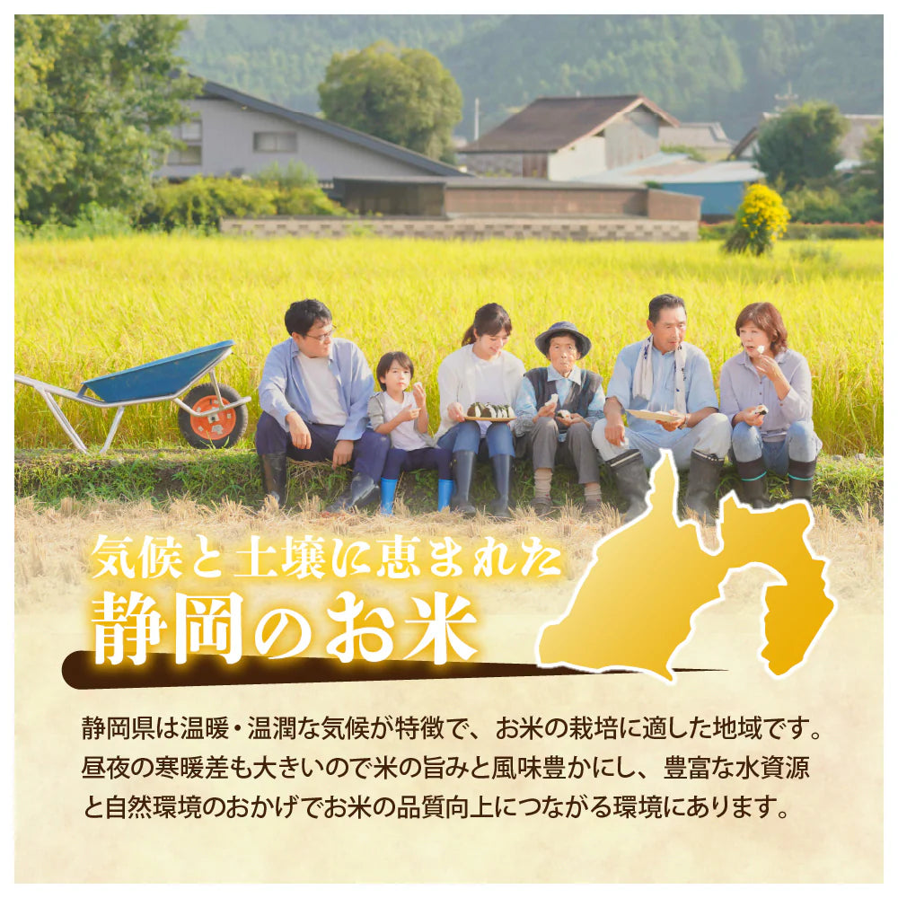 【白米】静岡県産 こしひかり 30kg(5kg×6袋)