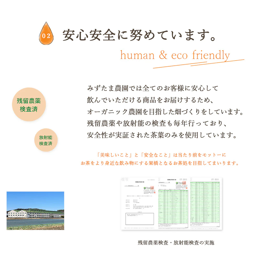ゴクゴクすっきり 和紅茶 ティーバッグ 100個入 和紅茶 ティーバッグ 水出し紅茶 お茶 紅茶 国産 ポット用 ホット アイスティー 水出し 静岡茶 牧之原茶 ティーパック 送料無料 パック